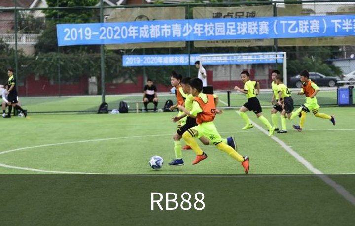 RB88概况